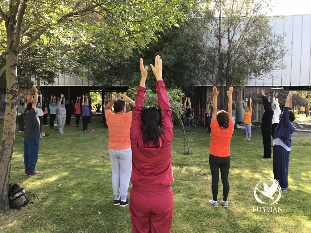 Sesión de práctica de Qigong en Puebla